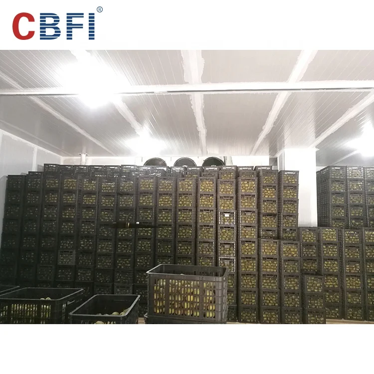 Big Storage Cold Room/Freezer Room for Logistics Market