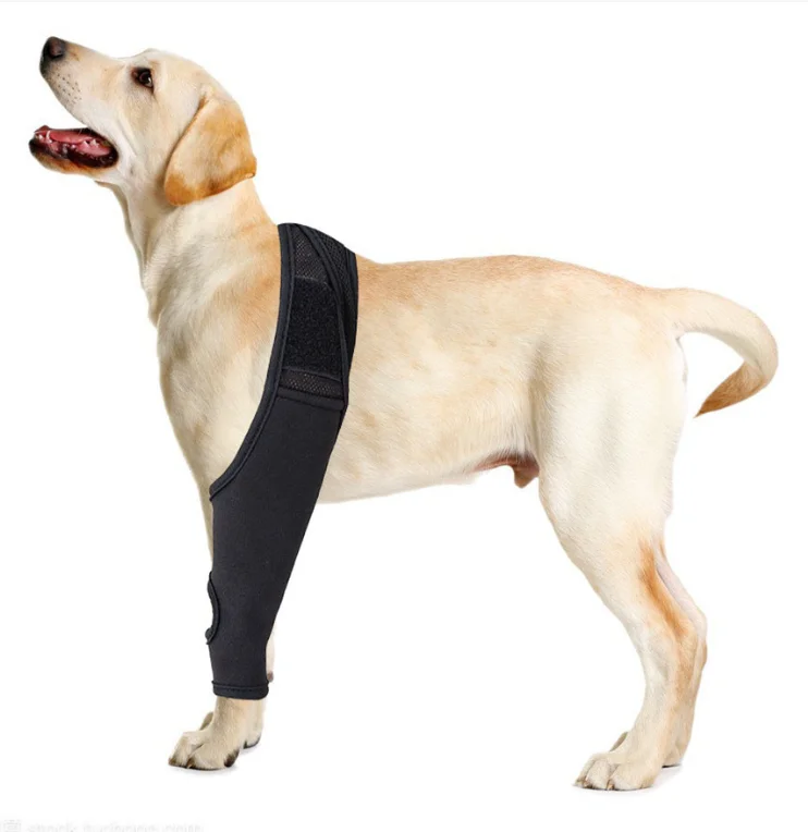 Dog Elbow Protector Rear Leg Dog Elbow Pad Protects Wounds Dog Knee Guard Knee Brace For Back Leg Protects Wounds