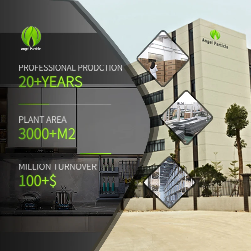 Wholesale Smart kitchen cabinet lifter Quick hanging kitchen storage AutoFunc pull out basket kitchen