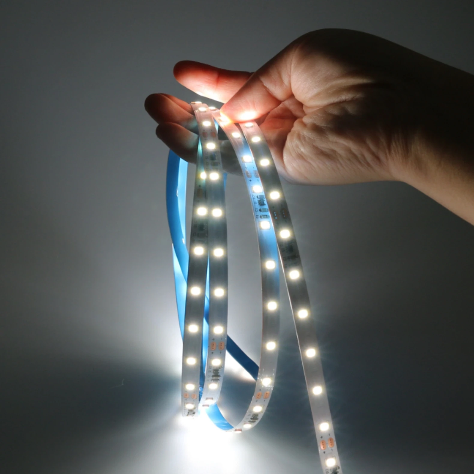 Constant Current 2835 5m Led Light Strip for Store Front Window Led Strips Borders Flexible Led Strip