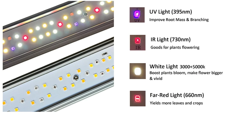 led grow light 