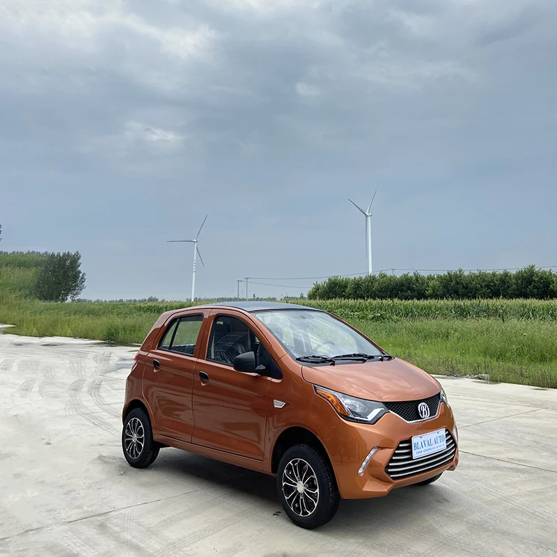 Electric Vehicle Dual Airbag Chinese Enterprise Supports SKD/CKD Adult Electric Vehicles