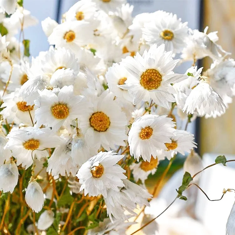 Summer Flora wholesale natural decorative dried flowers Timeless rose florist supplies for home decoration