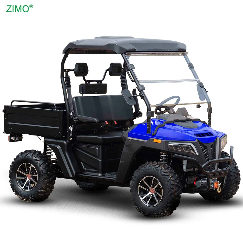 10KW 72V Sport Buggy Powered 4WD UTV