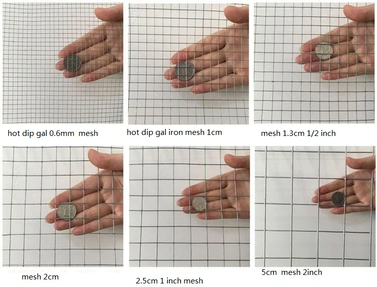 Сварная сетка из железа горячего цинкования, 1/4 дюйма, 1/2 дюйма, 1 дюйм, сетка толщиной от 0,6 мм до 2 мм, в наличии, сетка для разведения змеиных сетей