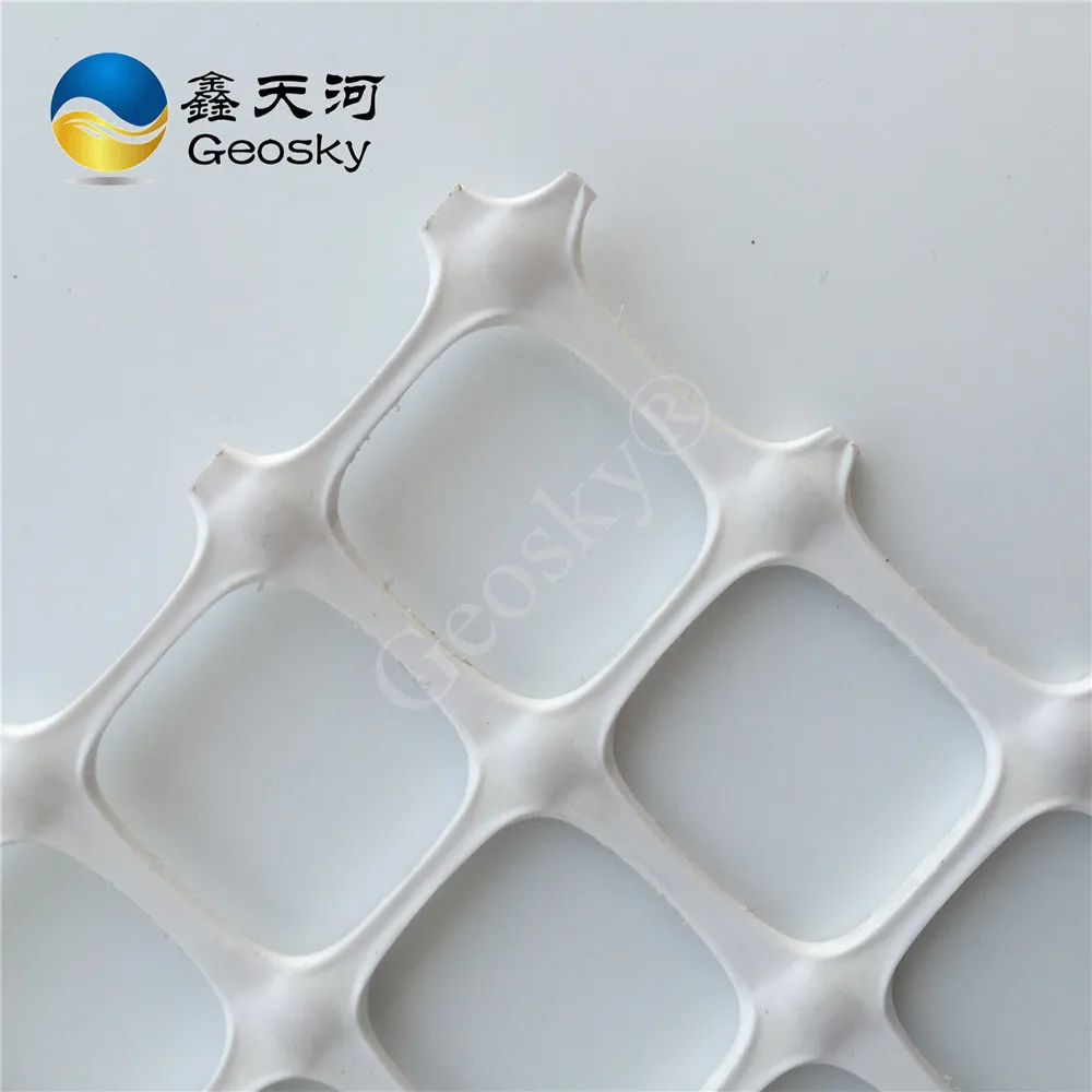 Заводская поставка пластиковая Двухосная георешетка PP белая