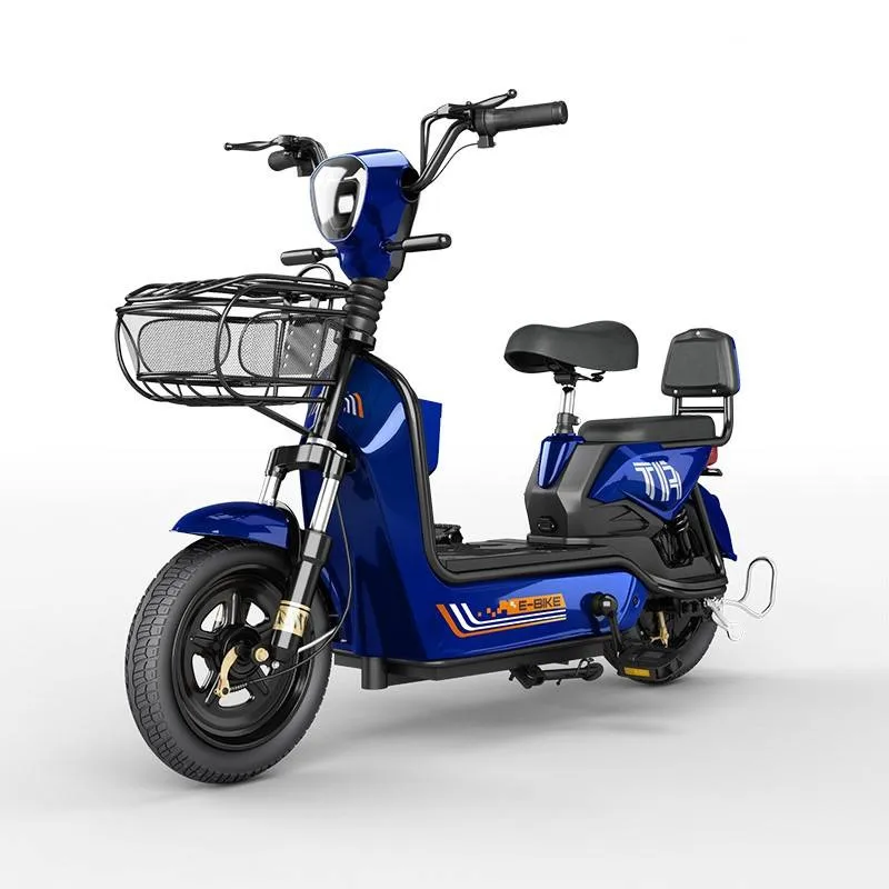 Two Wheeled Electric Bicycle Bike for Adults 450W 48V Battery Part