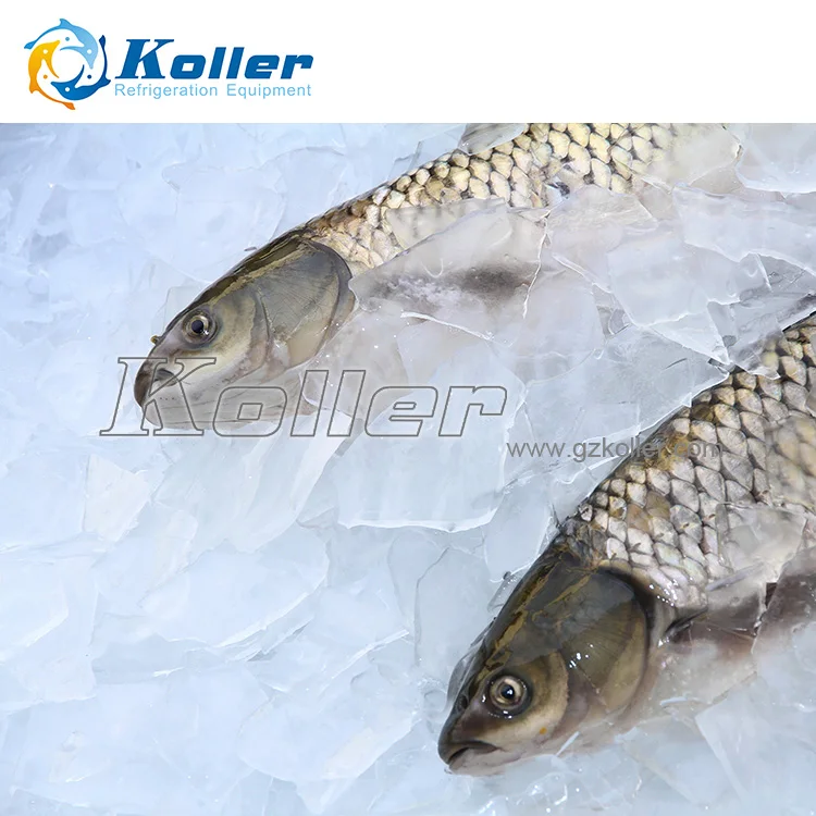 For Fishery Preservation Plate Ice maker (3000 Kg per day)