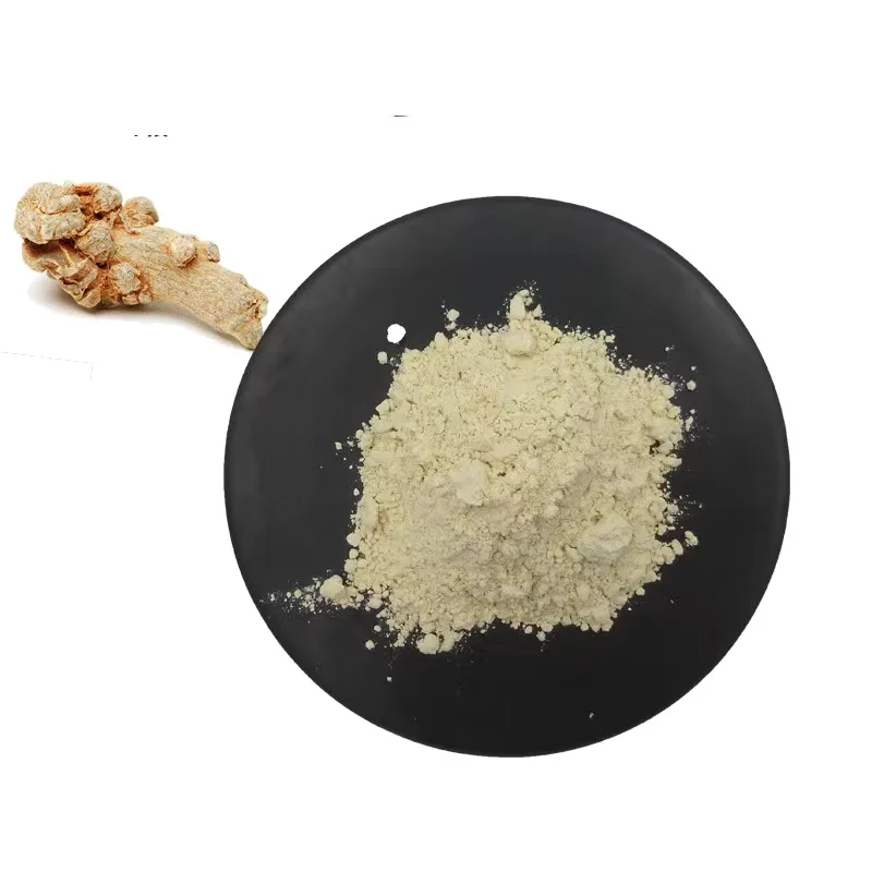 Natural Medicinal Plant Herbal Extract Notoginseng Root Sanchi Pseudo-ginseng Extract Notoginsenoside 80%
