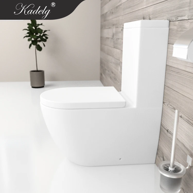 Mat White Modern Rimless Ceramic Watermark Toilet WC