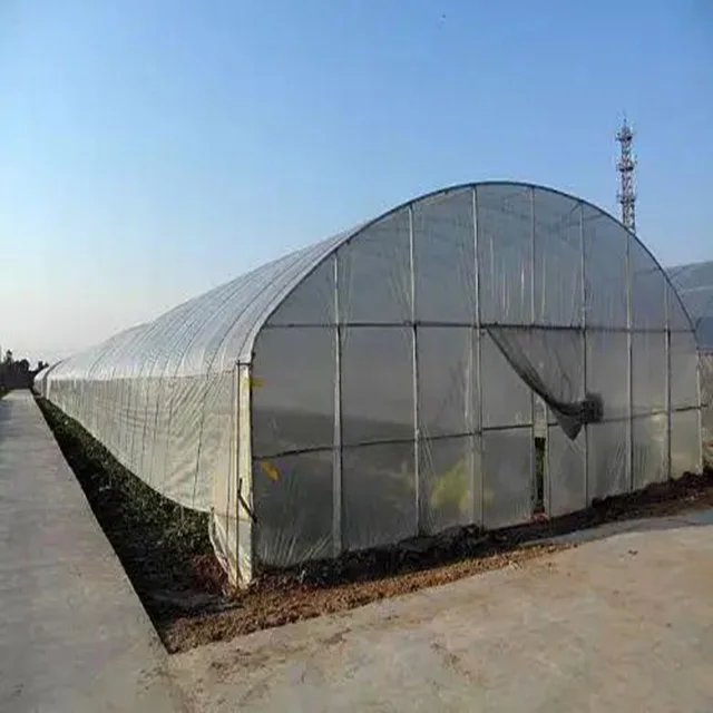 China high quality market commercial tunnel green house hot sale