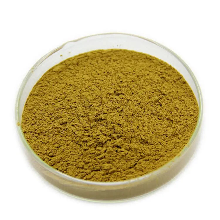 Wholesale High Quality Natural Organic Clean & Pure Senna Leaves Extract Powder