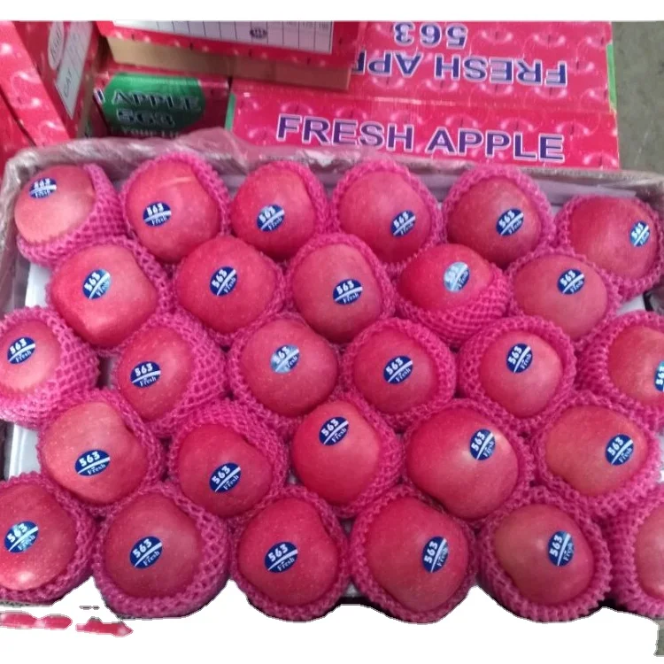 
Fuji apel exporter from china 