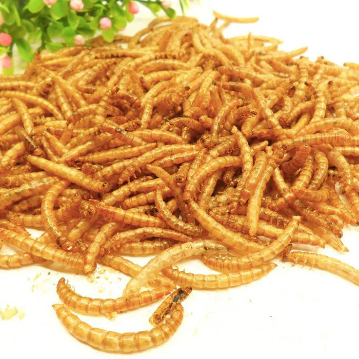 Stocked Feature Wholesale Microwave Dried Mealworms for Birds Chicken Fish Pet food
