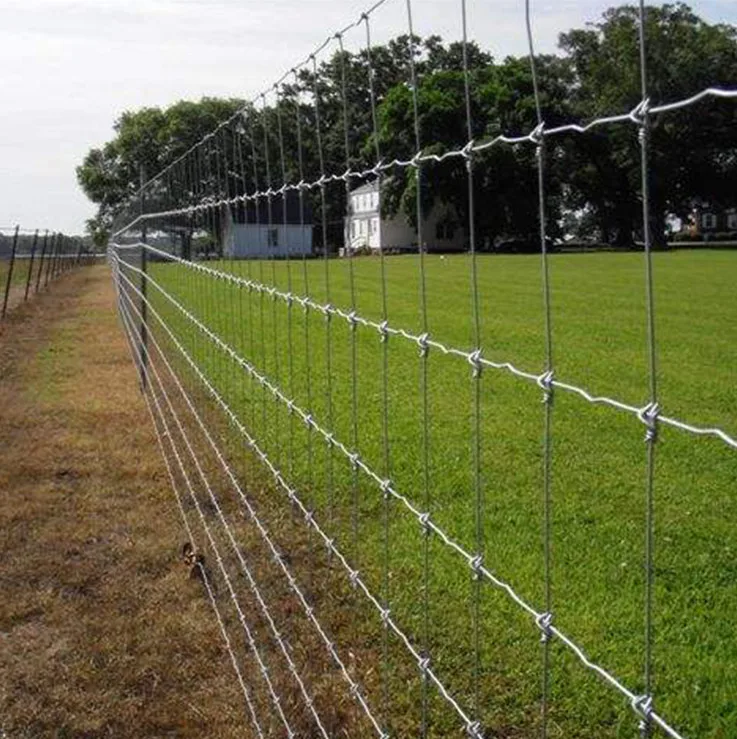 20mm32mm livestock 100m roll galvanized hinge joint 16 gauge cattle fence panels