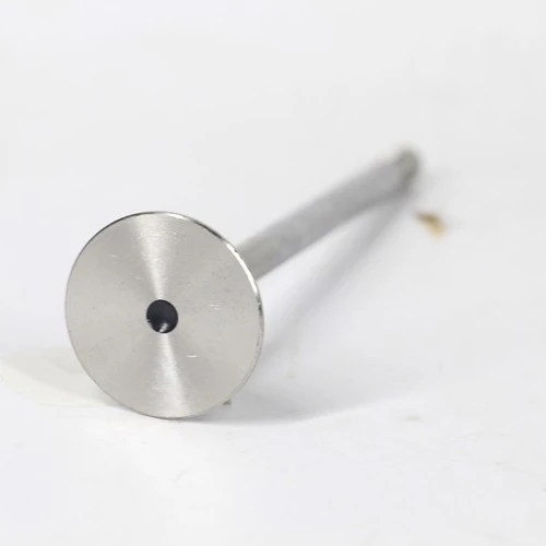 Factory Manufacture Various Auto Stock Car Engine Accessories Engine Intake Valve Exhaust Valve-audi