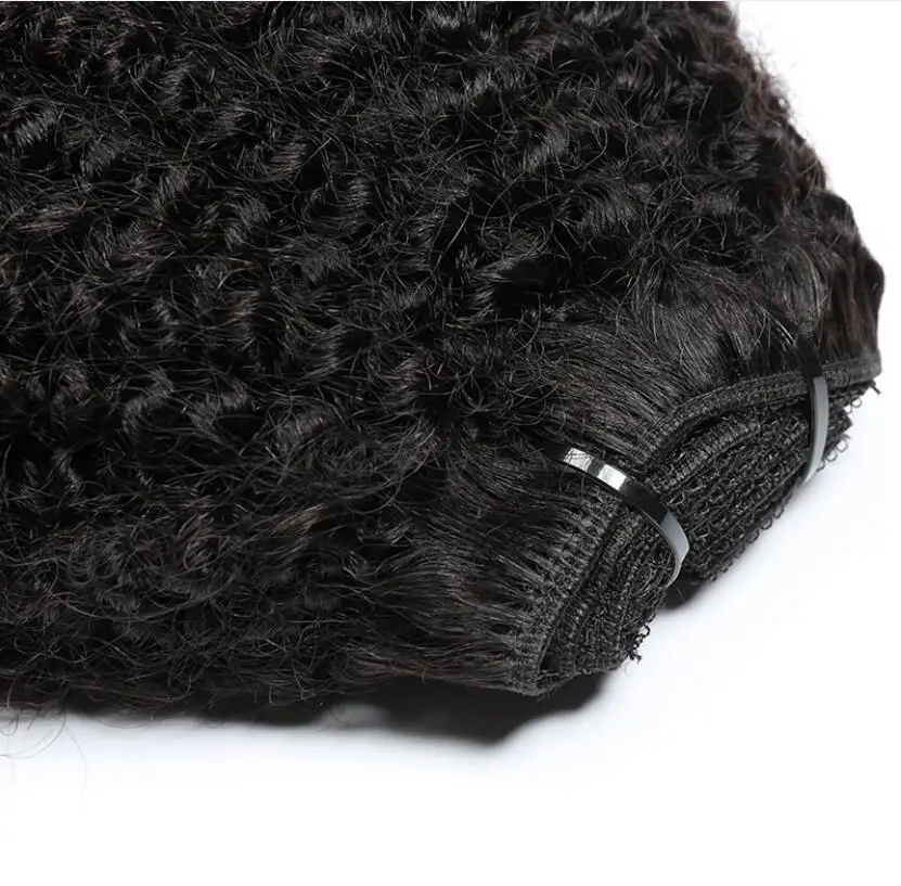 4A Afro Kinky Curly Clip In Hair Extensions for Black Women Cuticle Aligned Raw Virgin Brazilian Remy