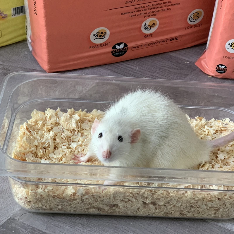 Snake Rabbit Hamster Chinchilla Nest Build Pine Wood Shaving