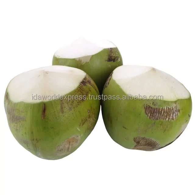 
Husked Coconut The Sweet Coconut Water From Fresh Young Coconut Thailand 