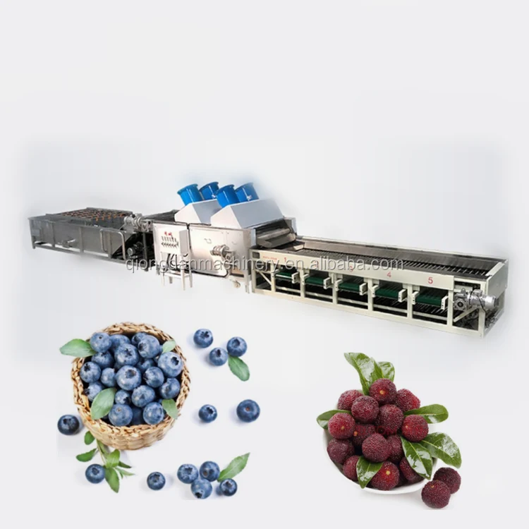 Vegetable/fruit sorting machine Passion fruit Cherry pear pomegranate persimmon litchi Strawberry blueberry grading machine