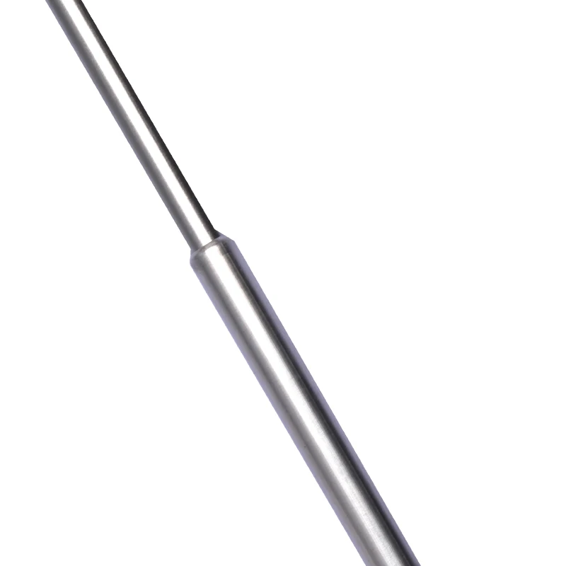 Professional Factory Telescopic BBQ Fork Marshmallow Roasting Sticks Barbecue Forks with Wooden Handle 11inch-33inch