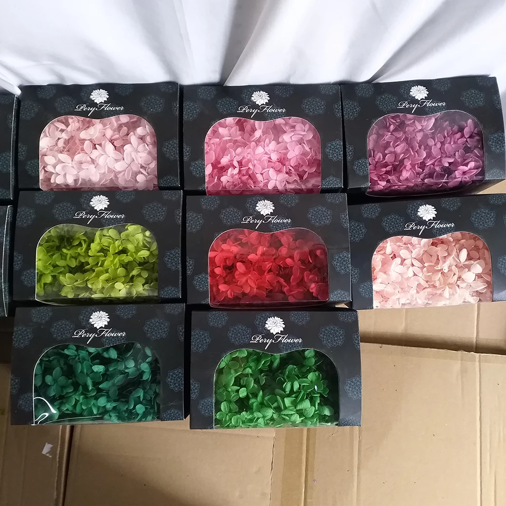 DIY Floral Arrangement Preserved flower Preserved Hydrangea 20g/box