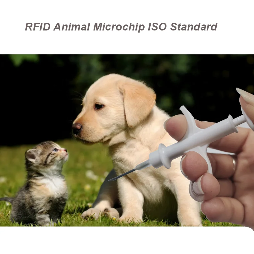 134.2khz ICAR RFID Implant 1.25x7 1.4x8 2.12x12mm Glass Tag Cattle Animal Id Microchips Dog Micro Chips Pet Microchip for Animal