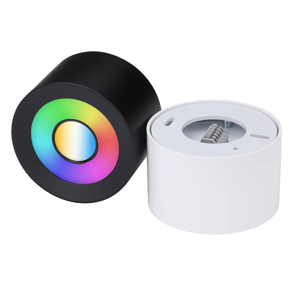 High quality smart LED Downlight 12W RGB+CCT Dali PWM DIM Surface Mount Ceiling Light KNX Loxone Casambi Automation led Spot