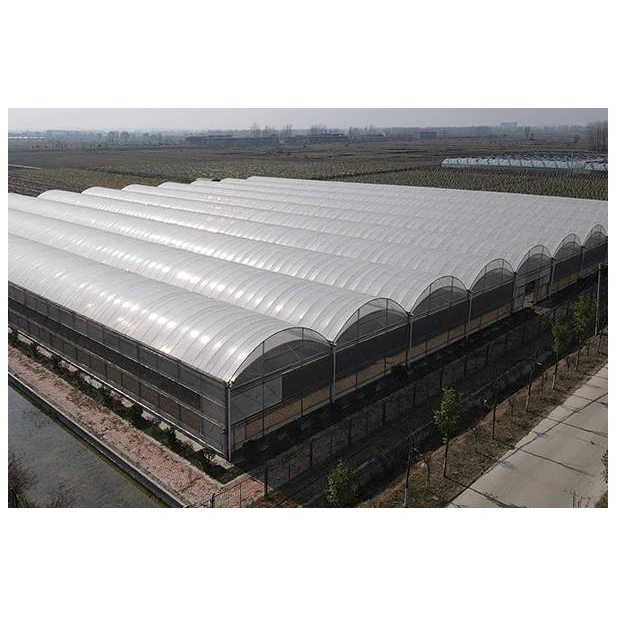 Best Selling Economical Multi-Span Greenhouse with greenhouse heating systems for winter