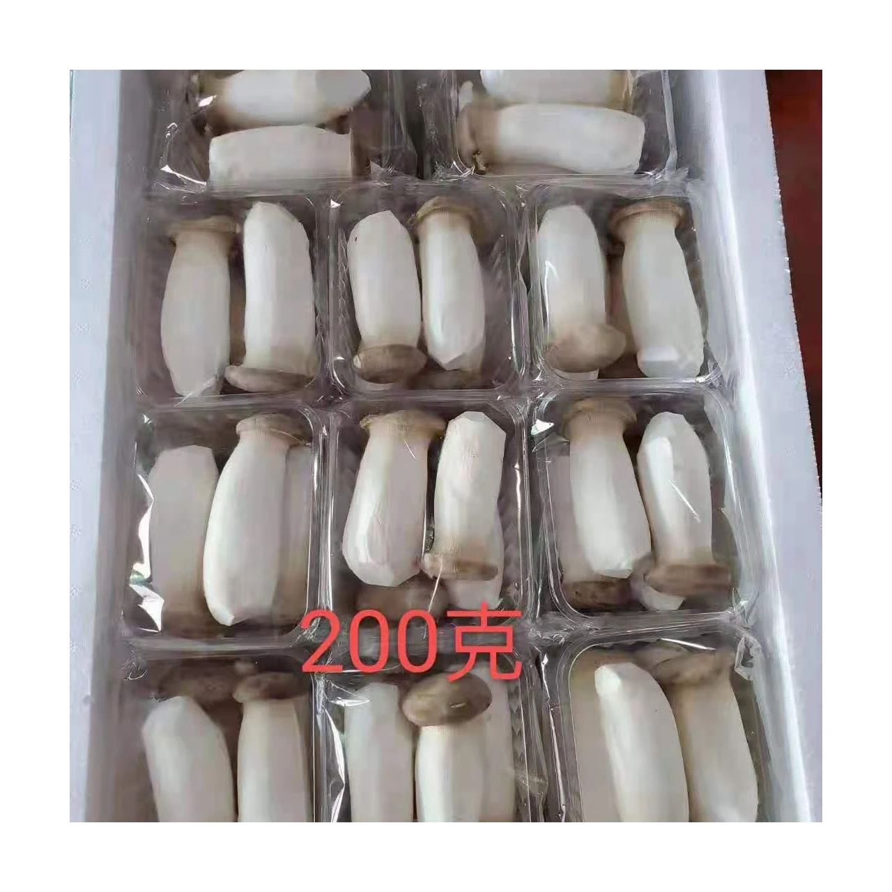 High Quality Material Edible Fungi Fresh King Oyster Mushrooms For Sale