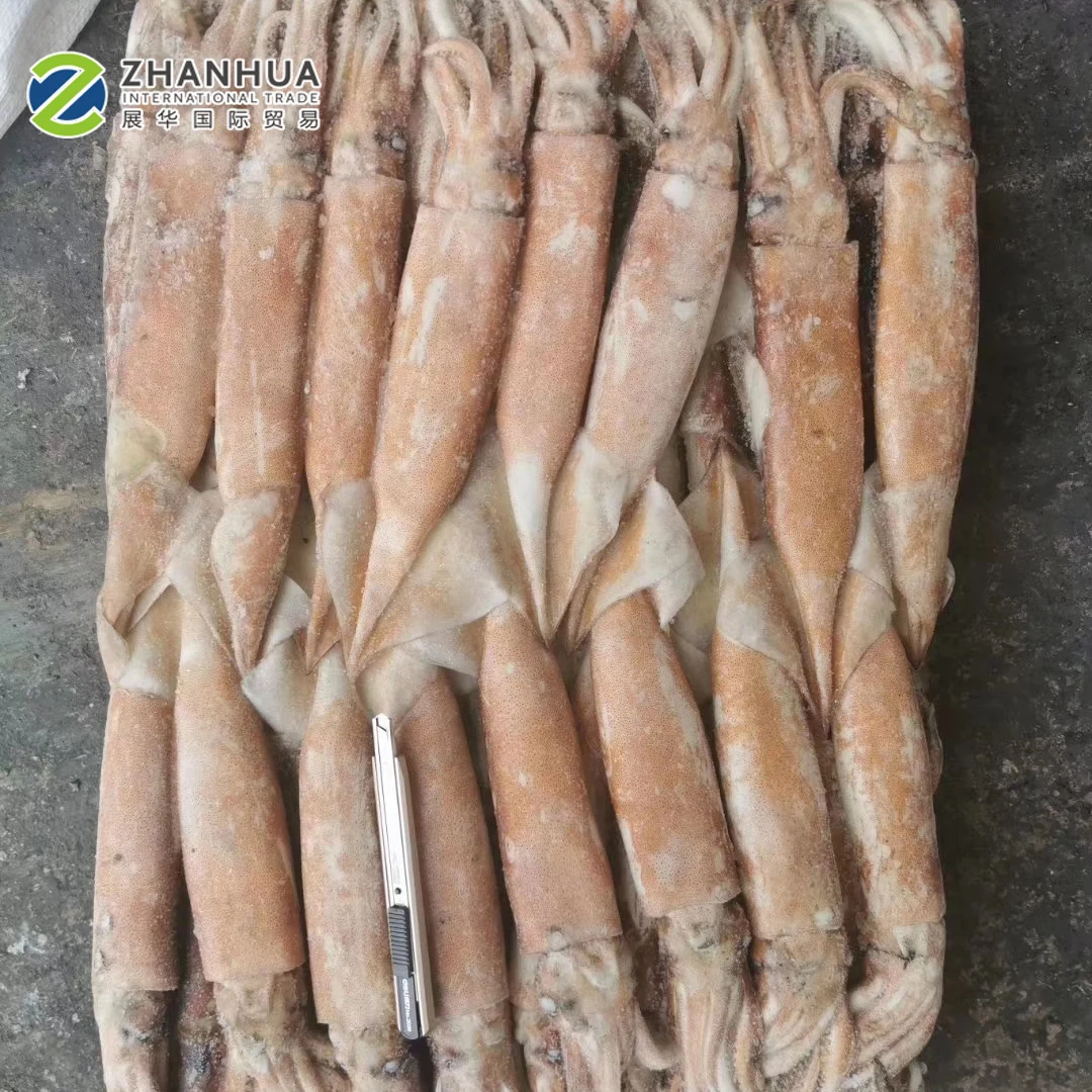Japanese Flying Squid 20Kg Block Frozen Squid Raw Material