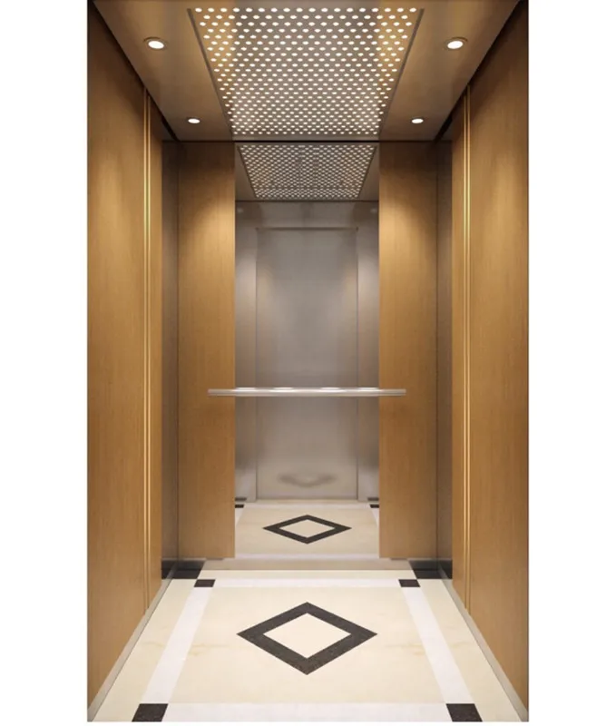 vvvf Passenger Elevator Home Lift Panoramic Elevator