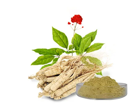 OEM &ODM Wholesale Ginseng extract NA Ginseng stem saponin  Ginseng Root