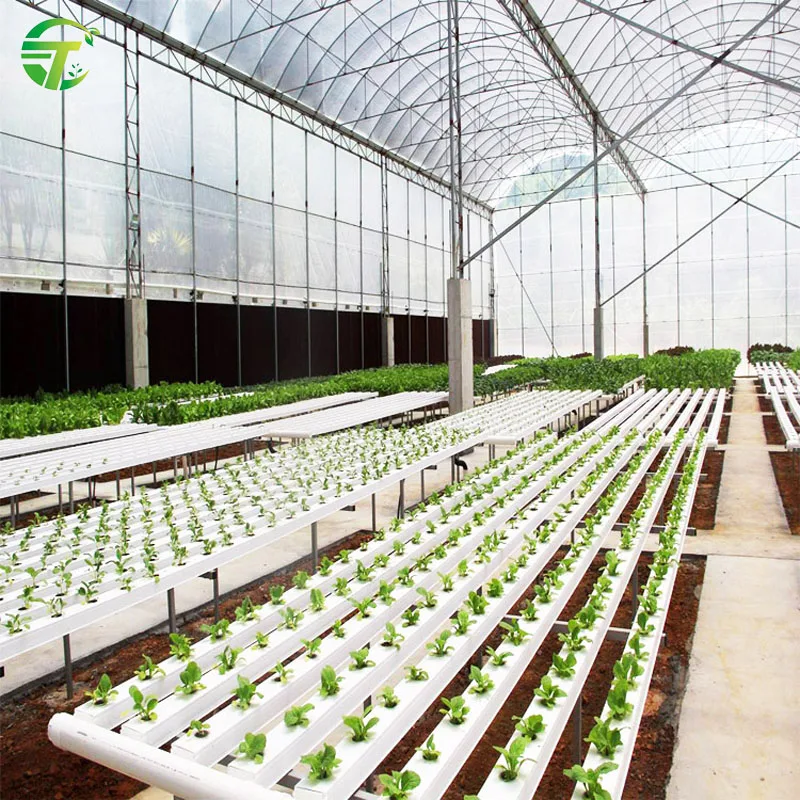 Китайский производитель, канал Aquaponics NFT для Гидропонной Теплицы