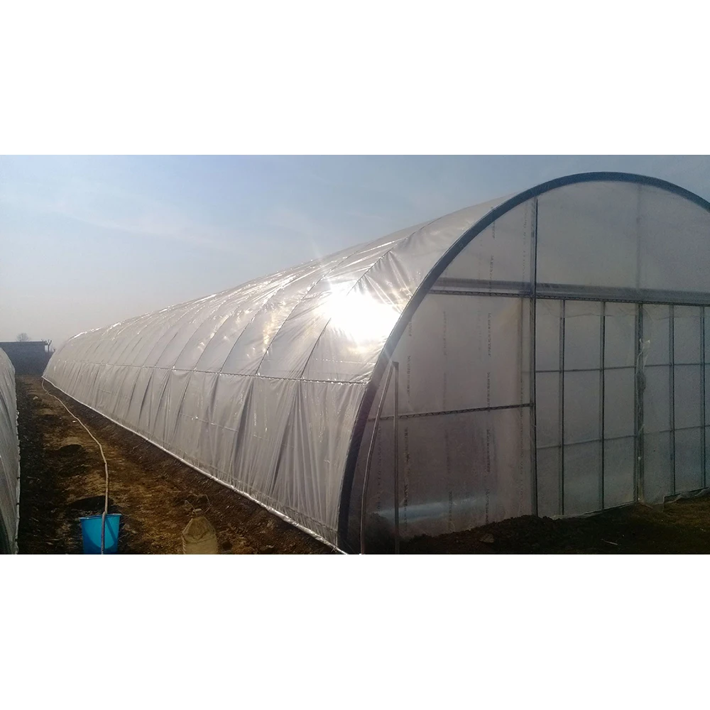 Крупногабаритная сельскохозяйственная теплица, 50 м, 30 м, 20 м