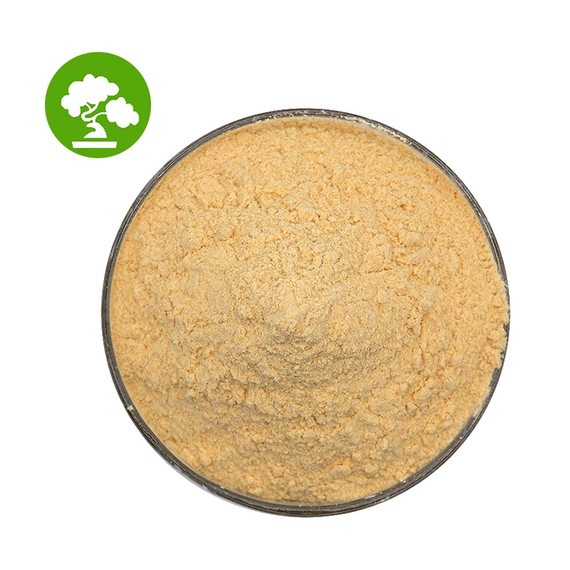 Wholesale Healthy Products Royal Jelly Powder
