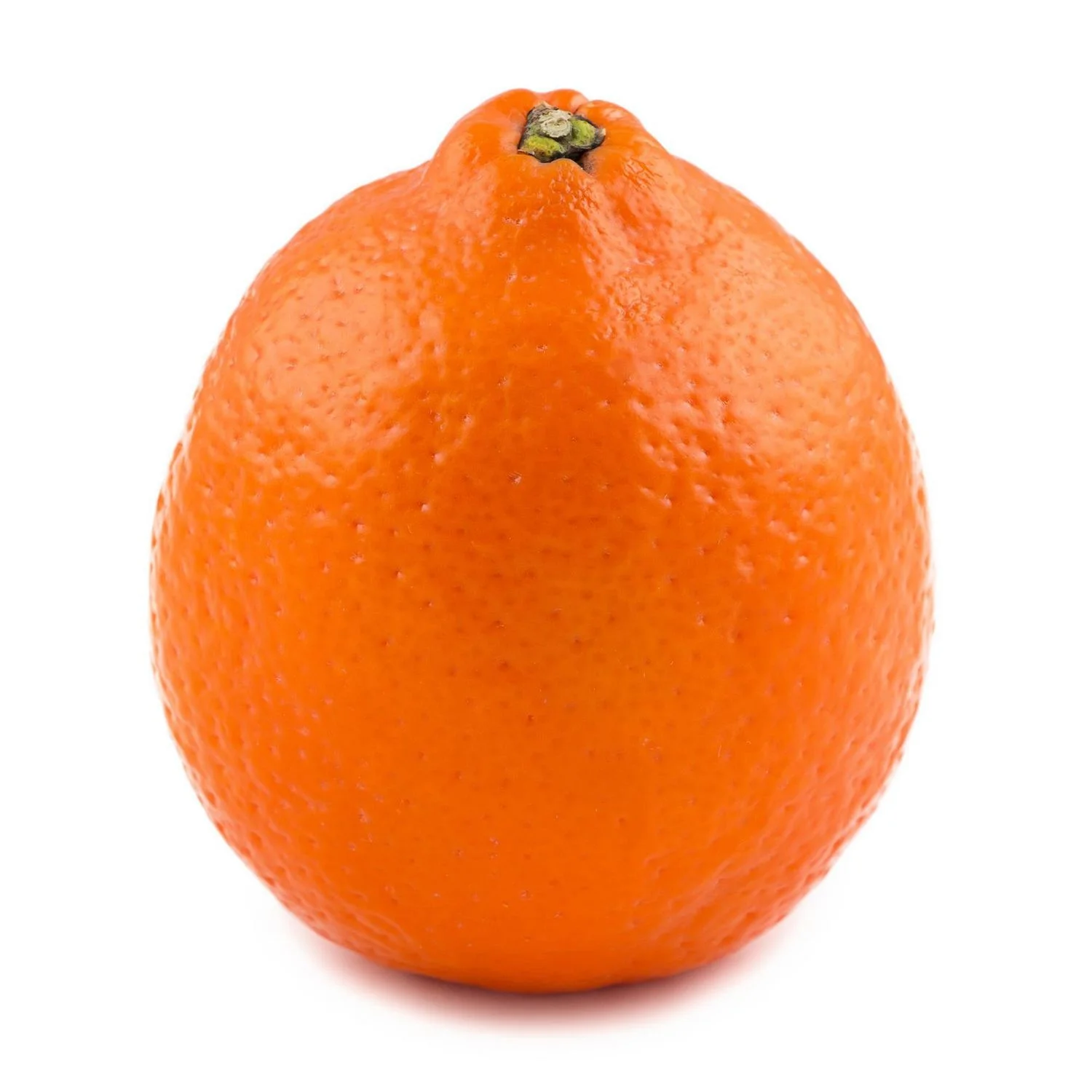 fresh Navel Valencia oranges Fresh Citrus