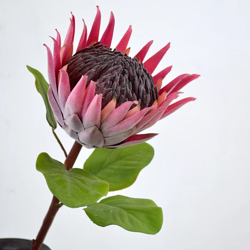 Cynaroides Artificial Silk King Protea Bouquet Wedding and Home Decoration Flowers for Christmas Halloween Easter Occasions