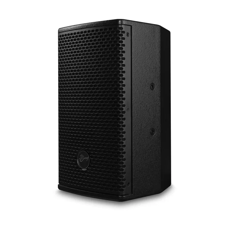 2021 Новое поступление Лебеди PS600 6-дюймовый профессиональный аудио динамик с пиковой мощностью 500 Вт используемый в общественных местах церквей