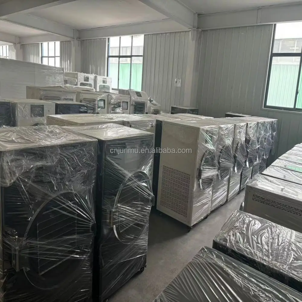 Vacuum Pump/ Small Lab Laboratory Home Use Vacuum Freeze Dryer Price Mini Lypholizers Machine Price
