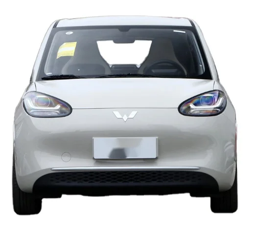 Модель 2023 бинго, 333 км