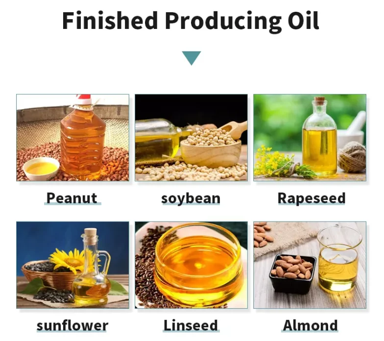 SY-22A Small Home Use Sesame Presses Peanut Oil Pressers