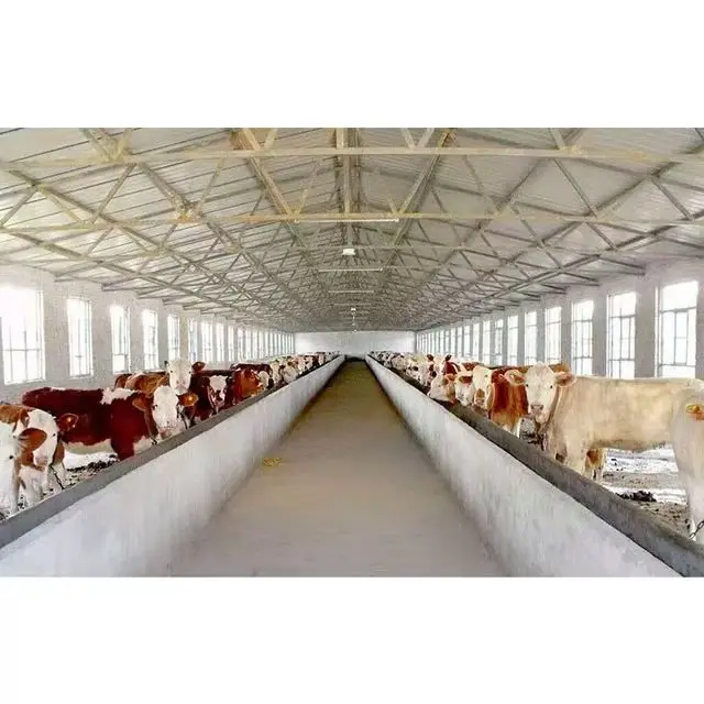 Factory direct customized sale prefabricated  house steel structure warehouse