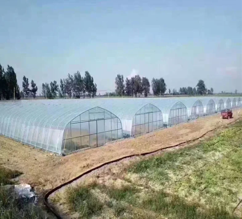Agrotime low cost plastic shed greenhouse tomato/potato/lettuce agriculture hoop house full container or half container
