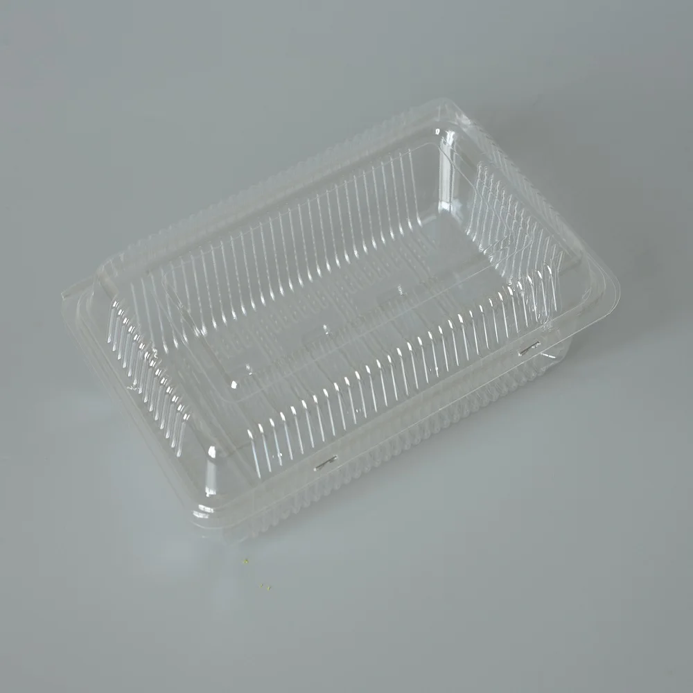 Disposable plastic large black takeaway box sushi packaging