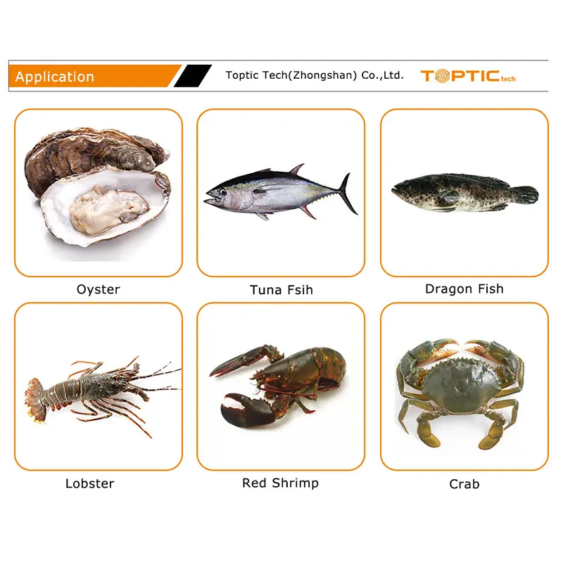 Weight Sorting Machine Grader Sorter Machinery Grading Machine Classifier for Shrimp Oyster Tilapia Seafood Abalone Processing