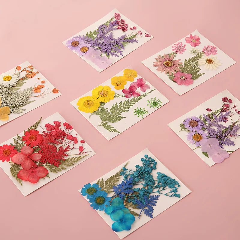 Dried flower bookmark creative hand-embossed diy real flower material package small gift Homemade plant specimen notes wholesale