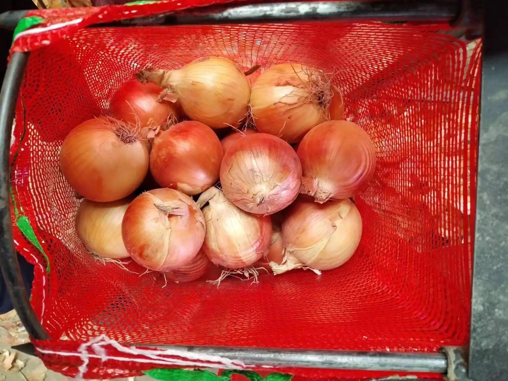 Premium Quality Red Onion New Crop Fresh yellow Onions Good Price Natural Healthy Red onions Wholesale