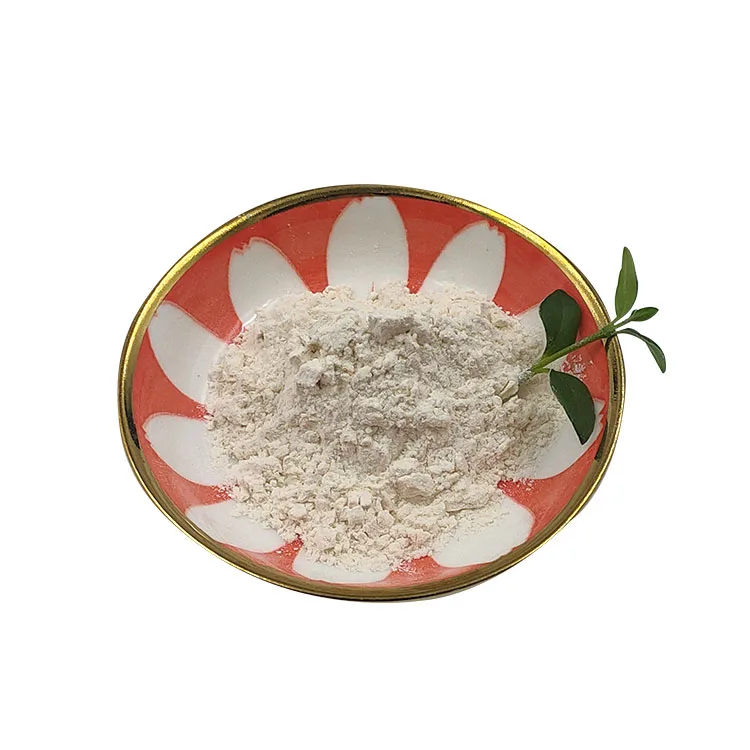 Best Quality Wholesale China Suppliers10billion CFU/g Food Grade Probiotic Powder Lactobacillus Rhamnosus