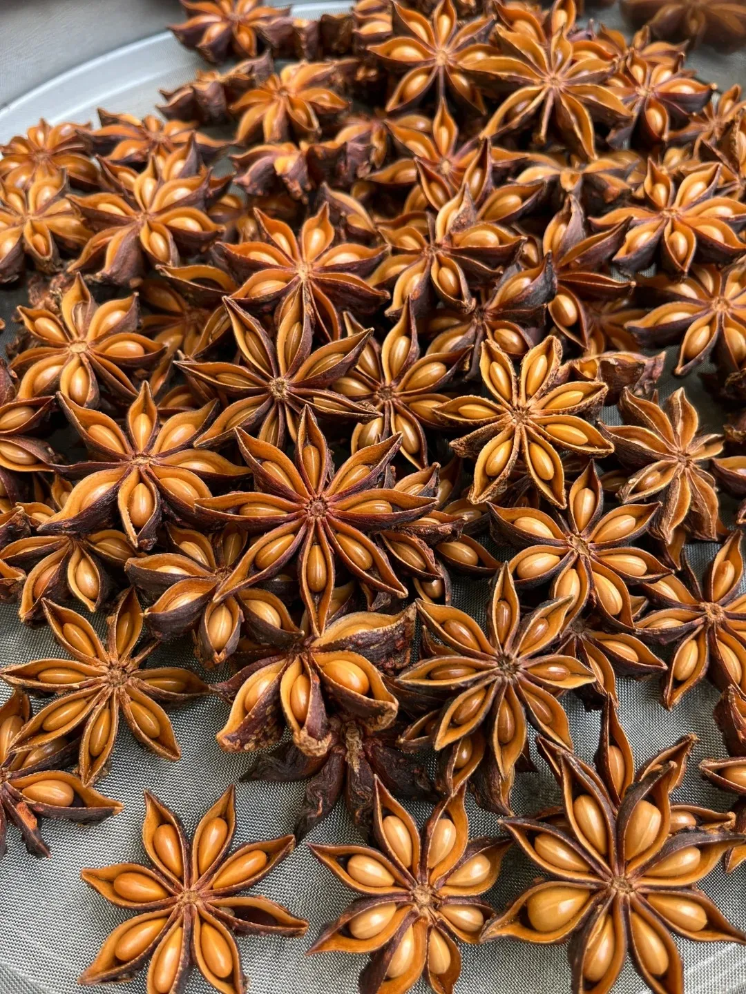 Wholesale 100% Natural Dried Whole Star Anise Hot Spicy Herb Spice with Seed and Stem Origin Direct Sales